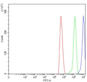 Flow cytometry testing of human U-251 cells with STK24 antibody at 1ug/million cells (blocked with goat sera); Red=cells alone, Green=isotype control, Blue= STK24 antibody.