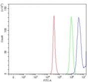 Flow cytometry testing of human HepG2 cells with 17-beta-HSD 3 antibody at 1ug/million cells (blocked with goat sera); Red=cells alone, Green=isotype control, Blue= 17-beta-HSD 3 antibody.