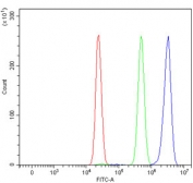 Flow cytometry testing of human HepG2 cells with CFIm68 antibody at 1ug/million cells (blocked with goat sera); Red=cells alone, Green=isotype control, Blue= CFIm68 antibody.