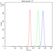 Flow cytometry analysis of fixed and permeabilized human Jurkat cells with MAT1A antibody at 1ug/million cells (blocked with goat sera); Red=cells alone, Green=isotype control, Blue= MAT1A antibody.