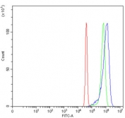 Flow cytometry testing of human SiHa cells with RAB23 antibody at 1ug/million cells (blocked with goat sera); Red=cells alone, Green=isotype control, Blue= RAB23 antibody.