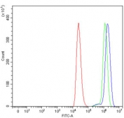 Flow cytometry testing of human ThP-1 cells with ADAMTS9 antibody at 1ug/million cells (blocked with goat sera); Red=cells alone, Green=isotype control, Blue= ADAMTS9 antibody.