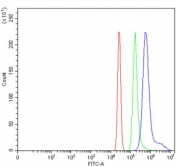 Flow cytometry testing of human HL60 cells with Vaccinia-related kinase 2 antibody at 1ug/million cells (blocked with goat sera); Red=cells alone, Green=isotype control, Blue= Vaccinia-related kinase 2 antibody.