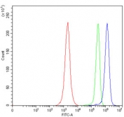 Flow cytometry testing of human JK cells with SLC5A7 antibody at 1ug/million cells (blocked with goat sera); Red=cells alone, Green=isotype control, Blue= SLC5A7 antibody.