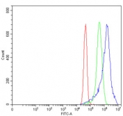 Flow cytometry testing of human MCF7 cells with HO-2 antibody at 1ug/million cells (blocked with goat sera); Red=cells alone, Green=isotype control, Blue= HO-2 antibody.