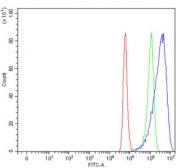 Flow cytometry testing of human A549 cells with NDUFV2 antibody at 1ug/million cells (blocked with goat sera); Red=cells alone, Green=isotype control, Blue= NDUFV2 antibody.