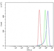 Flow cytometry testing of human HeLa cells with PDIA4 antibody at 1ug/million cells (blocked with goat sera); Red=cells alone, Green=isotype control, Blue= PDIA4 antibody.