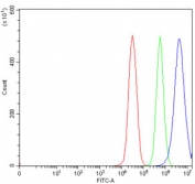 Flow cytometry testing of human 293T cells with USP26 antibody at 1ug/million cells (blocked with goat sera); Red=cells alone, Green=isotype control, Blue= USP26 antibody.