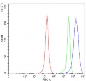 Flow cytometry testing of human JK cells with HSD17B8 antibody at 1ug/million cells (blocked with goat sera); Red=cells alone, Green=isotype control, Blue= HSD17B8 antibody.
