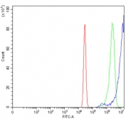 Flow cytometry testing of human U-2 OS cells with NRBF2 antibody at 1ug/million cells (blocked with goat sera); Red=cells alone, Green=isotype control, Blue= NRBF2 antibody.