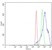 Flow cytometry testing of human MCF7 cells with YTH domain-containing protein 2 antibody at 1ug/million cells (blocked with goat sera); Red=cells alone, Green=isotype control, Blue= YTH domain-containing protein 2 antibody.