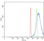 Flow cytometry testing of human SiHa cells with YTH domain-containing protein 2 antibody at 1ug/million cells (blocked with goat sera); Red=cells alone, Green=isotype control, Blue= YTH domain-containing protein 2 antibody.