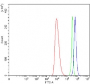 Flow cytometry testing of human HEL cells with TAAR6 antibody at 1ug/million cells (blocked with goat sera); Red=cells alone, Green=isotype control, Blue= TAAR6 antibody.