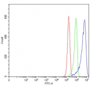 Flow cytometry testing of human RT4 cells with RHNO1 antibody at 1ug/million cells (blocked with goat sera); Red=cells alone, Green=isotype control, Blue= RHNO1 antibody.
