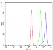 Flow cytometry testing of human U937 cells with TOMM20-like protein 1 antibody at 1ug/million cells (blocked with goat sera); Red=cells alone, Green=isotype control, Blue= TOMM20-like protein 1 antibody.