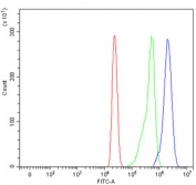 Flow cytometry testing of human HL60 cells with SARS1 antibody at 1ug/million cells (blocked with goat sera); Red=cells alone, Green=isotype control, Blue= SARS1 antibody.