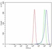 Flow cytometry testing of human Caco-2 cells with SARS1 antibody at 1ug/million cells (blocked with goat sera); Red=cells alone, Green=isotype control, Blue= SARS1 antibody.