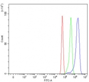 Flow cytometry testing of rat RH35 cells with PSF antibody at 1ug/million cells (blocked with goat sera); Red=cells alone, Green=isotype control, Blue= PSF antibody.