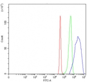 Flow cytometry testing of human SiHa cells with PSF antibody at 1ug/million cells (blocked with goat sera); Red=cells alone, Green=isotype control, Blue= PSF antibody.