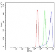 Flow cytometry testing of human SiHa cells with Delta-5 desaturase antibody at 1ug/million cells (blocked with goat sera); Red=cells alone, Green=isotype control, Blue= Delta-5 desaturase antibody.