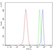 Flow cytometry testing of mouse ANA-1 cells with WNT10B antibody at 1ug/million cells (blocked with goat sera); Red=cells alone, Green=isotype control, Blue= WNT10B antibody.