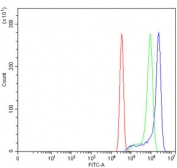 Flow cytometry testing of human SiHa cells with CXCR7 antibody at 1ug/million cells (blocked with goat sera); Red=cells alone, Green=isotype control, Blue= CXCR7 antibody.