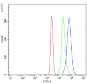Flow cytometry testing of human U937 cells with CLEC7A antibody at 1ug/million cells (blocked with goat sera); Red=cells alone, Green=isotype control, Blue= CLEC7A antibody.