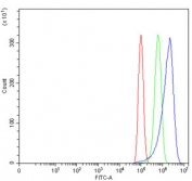 Flow cytometry testing of human PC-3 cells with ZNRF3 antibody at 1ug/million cells (blocked with goat sera); Red=cells alone, Green=isotype control, Blue= ZNRF3 antibody.