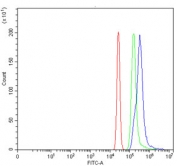 Flow cytometry testing of human HL60 cells with UBE2S antibody at 1ug/million cells (blocked with goat sera); Red=cells alone, Green=isotype control, Blue= UBE2S antibody.