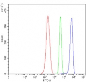 Flow cytometry testing of mouse ANA-1 cells with Tropomyosin 2 antibody at 1ug/million cells (blocked with goat sera); Red=cells alone, Green=isotype control, Blue= Tropomyosin 2 antibody.