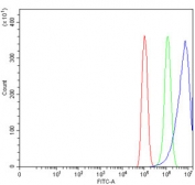 Flow cytometry testing of human PC-3 cells with UBA6 antibody at 1ug/million cells (blocked with goat sera); Red=cells alone, Green=isotype control, Blue= UBA6 antibody.