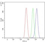 Flow cytometry testing of human U-87 MG cells with SAV1 antibody at 1ug/million cells (blocked with goat sera); Red=cells alone, Green=isotype control, Blue= SAV1 antibody.