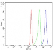 Flow cytometry testing of fixed and permeabilized human HL60 cells with SEC13L1 antibody at 1ug/million cells (blocked with goat sera); Red=cells alone, Green=isotype control, Blue= SEC13L1 antibody.