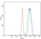 Flow cytometry testing of fixed and permeabilized human JK cells with SEC13L1 antibody at 1ug/million cells (blocked with goat sera); Red=cells alone, Green=isotype control, Blue= SEC13L1 antibody.