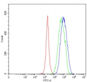 Flow cytometry testing of human JK cells with SEC13L1 antibody at 1ug/million cells (blocked with goat sera); Red=cells alone, Green=isotype control, Blue= SEC13L1 antibody.