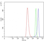 Flow cytometry testing of human HEL cells with TPPP antibody at 1ug/million cells (blocked with goat sera); Red=cells alone, Green=isotype control, Blue= TPPP antibody.