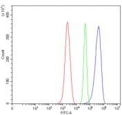 Flow cytometry testing of mouse ANA-1 cells with SERBP1 antibody at 1ug/million cells (blocked with goat sera); Red=cells alone, Green=isotype control, Blue= SERBP1 antibody.