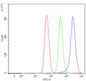 Flow cytometry testing of human U-87 MG cells with SR-BII antibody at 1ug/million cells (blocked with goat sera); Red=cells alone, Green=isotype control, Blue= SR-BII antibody.