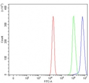 Flow cytometry testing of human U-2 OS cells with SART1 antibody at 1ug/million cells (blocked with goat sera); Red=cells alone, Green=isotype control, Blue= SART1 antibody.