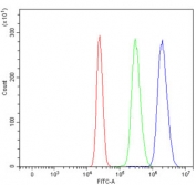 Flow cytometry testing of human HepG2 cells with Ubiquitin carboxyl-terminal hydrolase 16 antibody at 1ug/million cells (blocked with goat sera); Red=cells alone, Green=isotype control, Blue= Ubiquitin carboxyl-terminal hydrolase 16 antibody.