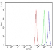 Flow cytometry testing of human U-87 MG cells with TRAF7 antibody at 1ug/million cells (blocked with goat sera); Red=cells alone, Green=isotype control, Blue= TRAF7 antibody.