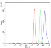 Flow cytometry testing of human MCF7 cells with Triadin antibody at 1ug/million cells (blocked with goat sera); Red=cells alone, Green=isotype control, Blue= Triadin antibody.