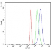 Flow cytometry testing of human K562 cells with SEC24C antibody at 1ug/million cells (blocked with goat sera); Red=cells alone, Green=isotype control, Blue= SEC24C antibody.