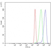 Flow cytometry testing of human MCF7 cells with THAP11 antibody at 1ug/million cells (blocked with goat sera); Red=cells alone, Green=isotype control, Blue= THAP11 antibody.