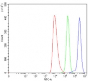Flow cytometry testing of human HEL cells with Septin 6 antibody at 1ug/million cells (blocked with goat sera); Red=cells alone, Green=isotype control, Blue= Septin 6 antibody.