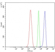 Flow cytometry testing of mouse ANA-1 cells with Septin 6 antibody at 1ug/million cells (blocked with goat sera); Red=cells alone, Green=isotype control, Blue= Septin 6 antibody.