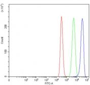 Flow cytometry testing of human MCF7 cells with TMPRSS13 antibody at 1ug/million cells (blocked with goat sera); Red=cells alone, Green=isotype control, Blue= TMPRSS13 antibody.