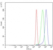 Flow cytometry testing of human MCF7 cells with Thrombospondin-3 antibody at 1ug/million cells (blocked with goat sera); Red=cells alone, Green=isotype control, Blue= Thrombospondin-3 antibody.