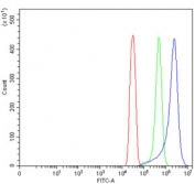 Flow cytometry testing of human SiHa cells with TMEM129 antibody at 1ug/million cells (blocked with goat sera); Red=cells alone, Green=isotype control, Blue= TMEM129 antibody.