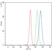 Flow cytometry testing of human 293T cells with hKR3 antibody at 1ug/million cells (blocked with goat sera); Red=cells alone, Green=isotype control, Blue= hKR3 antibody.